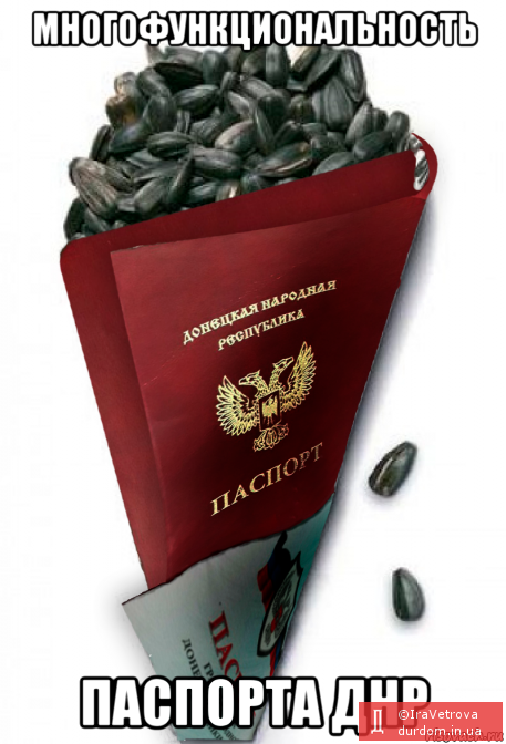 Вся суть паспорта ДНР