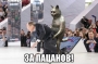 «Лавров упал на сцене форума в Москве»