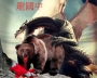 Китайский дракон изподтишка карает русского медведя