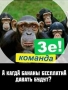 14 грудня - Всесвітній день мавп.