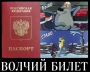 За мотивами вірша Маяковського про радянський паспорт