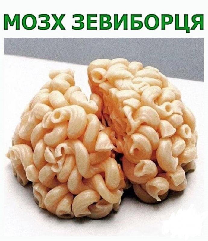 О мозгах...
