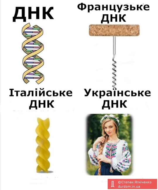 Українське ДНК