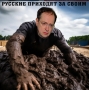 Свиня шукає болото