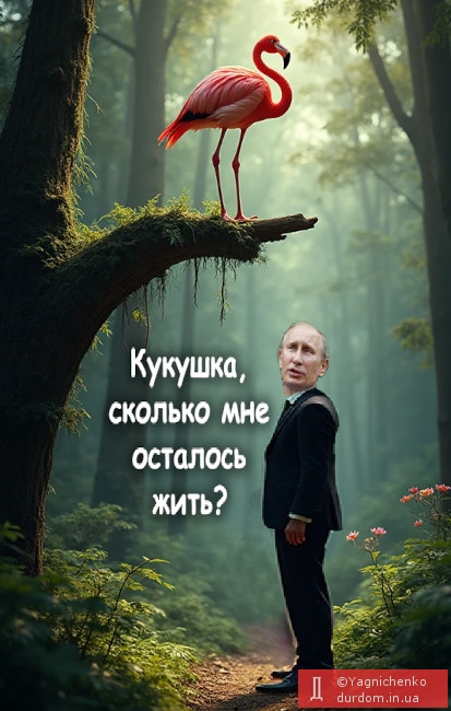 Пролетая над гнездом Фламинго