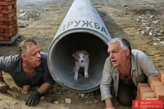Напарники