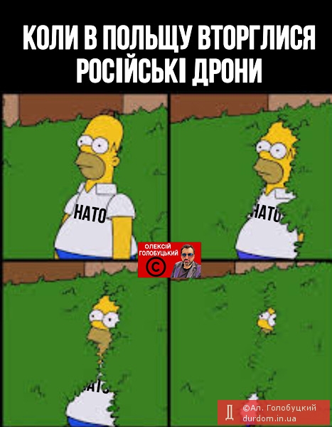 …