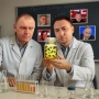 ШІ комахи. Початок