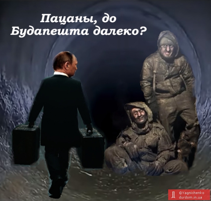 Дружба