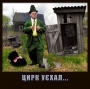 Куда уєхал цирк...