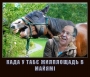 Када у табє жилплощадь в Майямі...