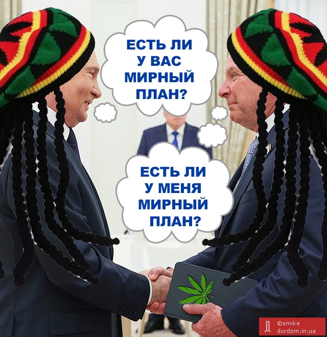 Мирный план