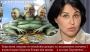 Новини, на які ми заслуговуємо...