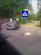 В Николаеве автомобиль ГАИ на пешеходном переходе сбил пожилую женщину