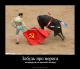 Шоу 