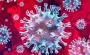 «Український ШВЛ»: медичний покруч проти коронавірусу!